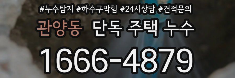 관양동 단독 주택 누수