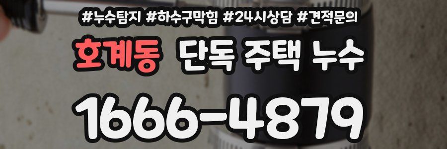 호계동 단독 주택 누수