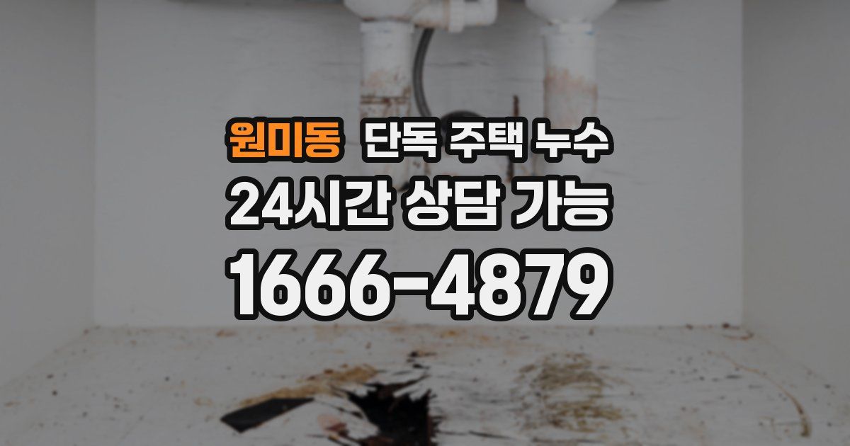 원미동 단독 주택 누수