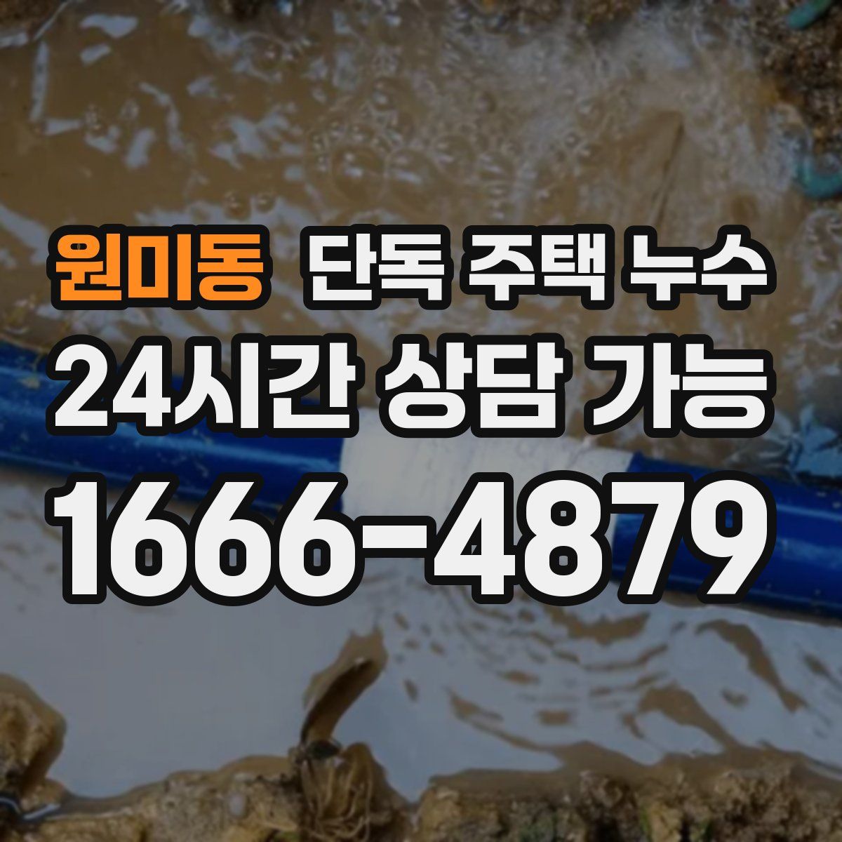 원미동 단독 주택 누수