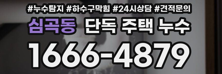 심곡동 단독 주택 누수