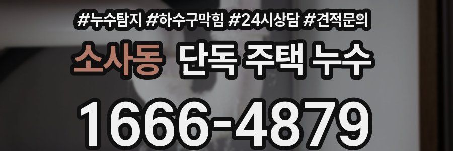 소사동 단독 주택 누수