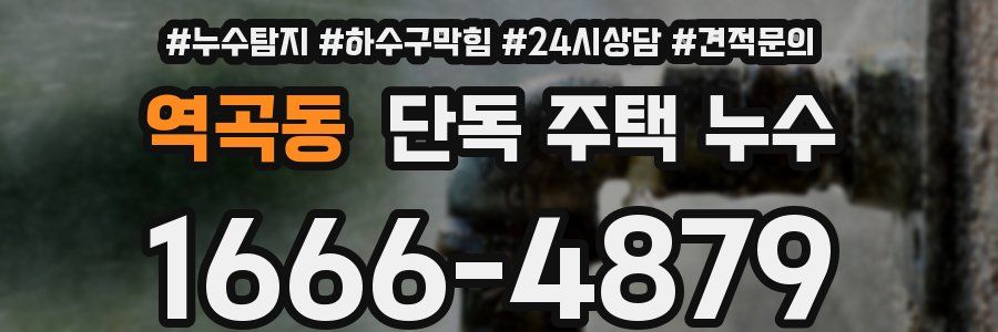 역곡동 단독 주택 누수