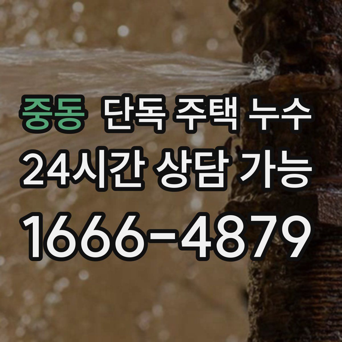 중동 단독 주택 누수