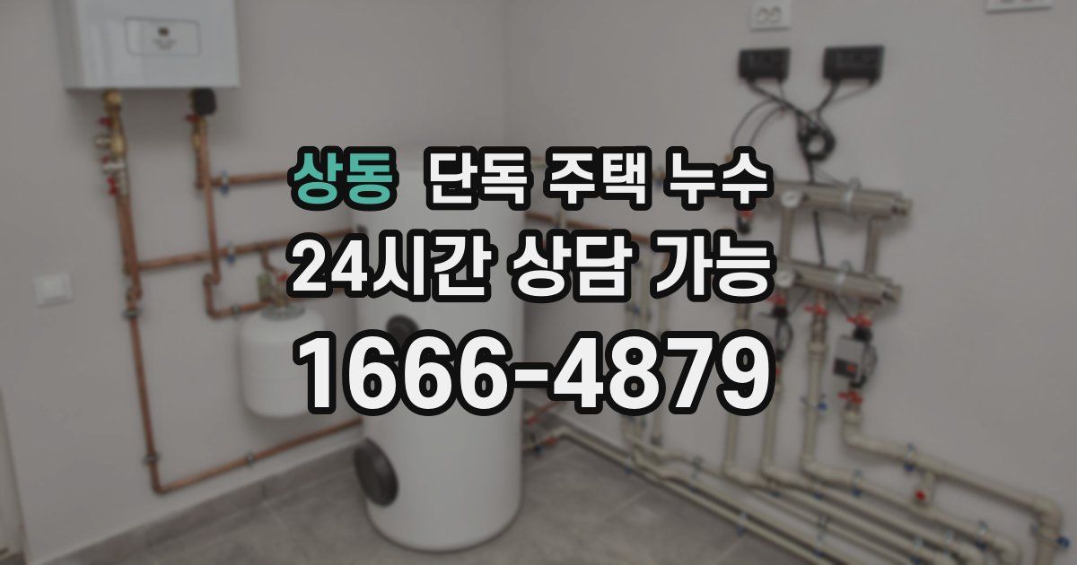 상동 단독 주택 누수