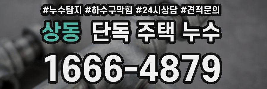 상동 단독 주택 누수