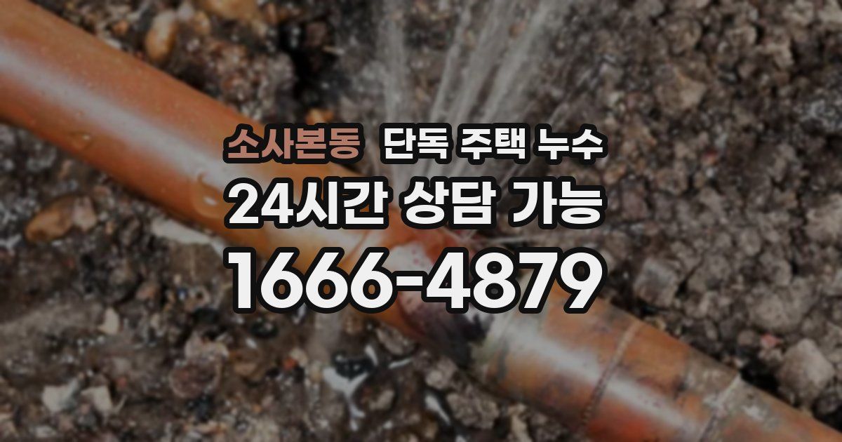 소사본동 단독 주택 누수