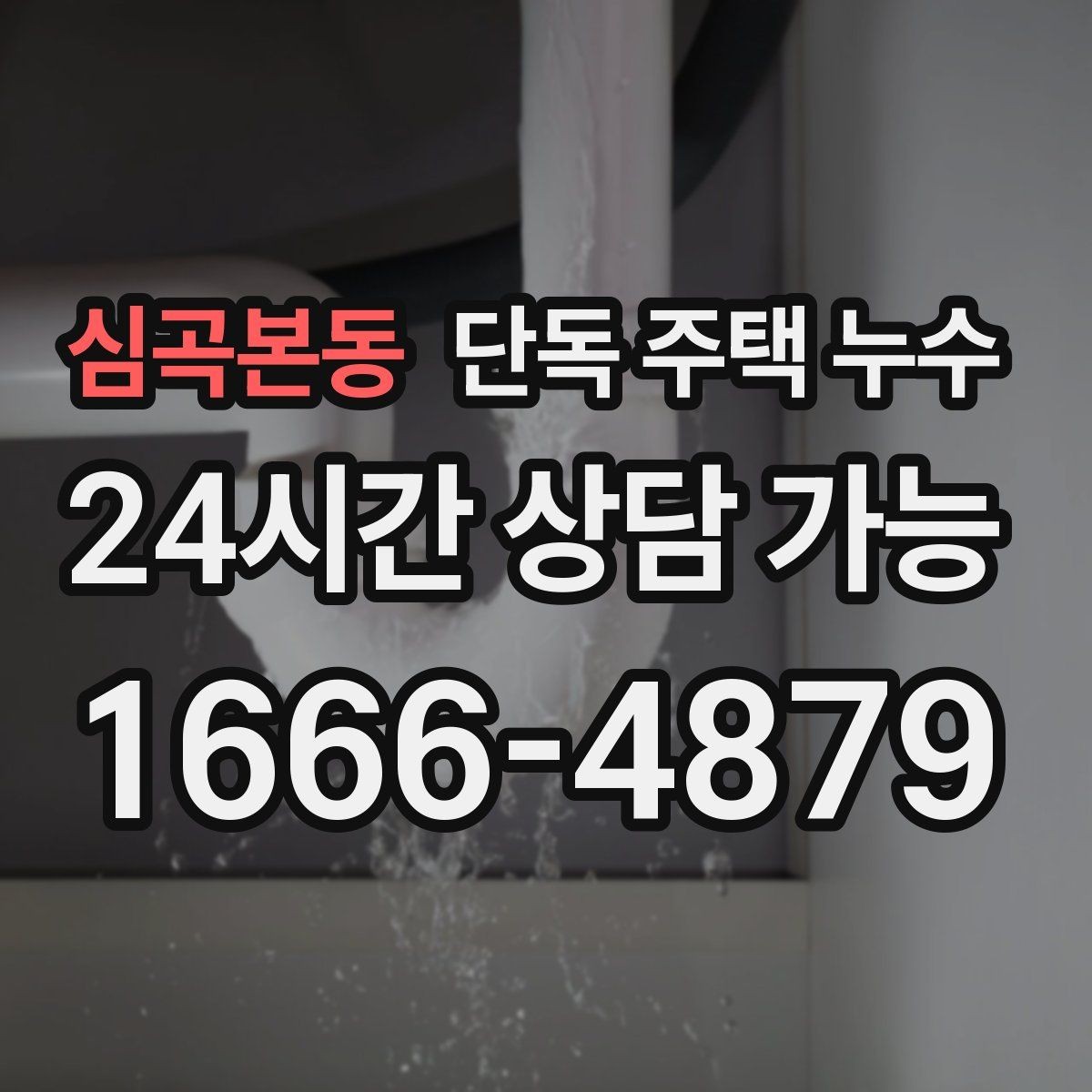 심곡본동 단독 주택 누수 기와가 흔들리면 위험한 이유