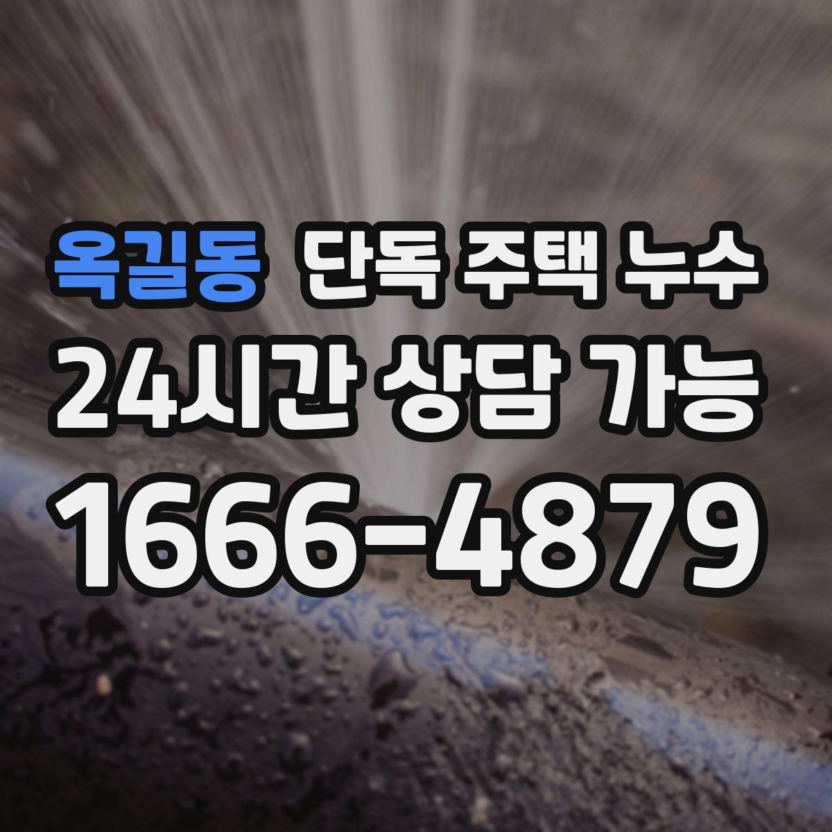 옥길동 단독 주택 누수