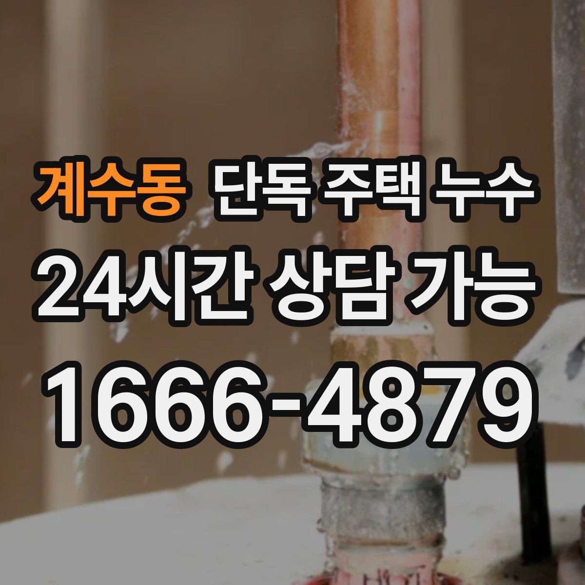 계수동 단독 주택 누수 벽지 속에서 젖은 냄새가 날 때