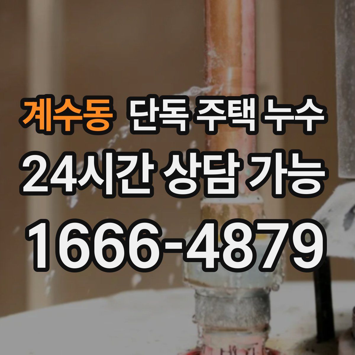 계수동 단독 주택 누수