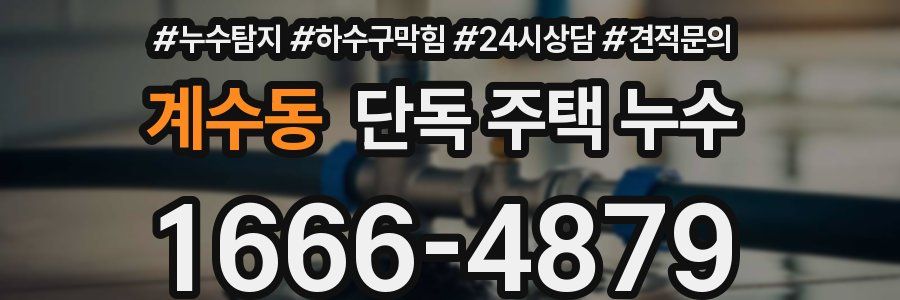 계수동 단독 주택 누수