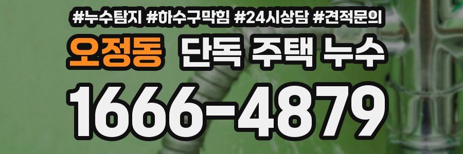 오정동 단독 주택 누수