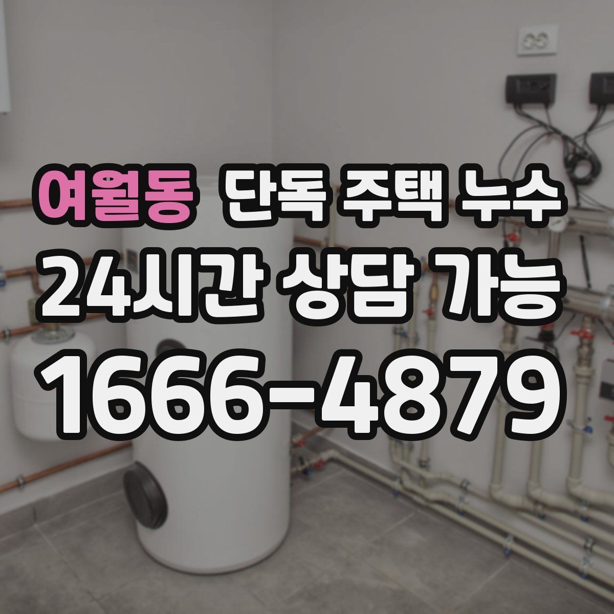 여월동 단독 주택 누수 담장 쪽 물고임이 벽으로 스며드는 경우