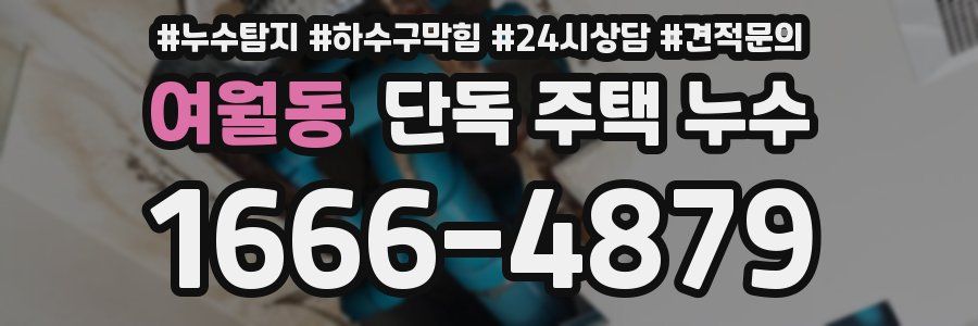 여월동 단독 주택 누수