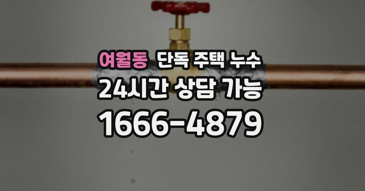 여월동 단독 주택 누수