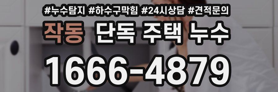 작동 단독 주택 누수