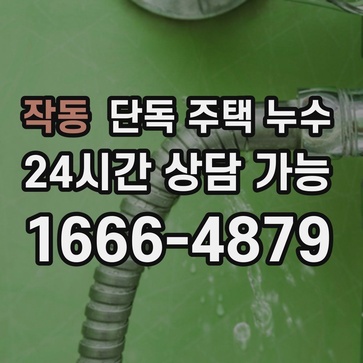 작동 단독 주택 누수