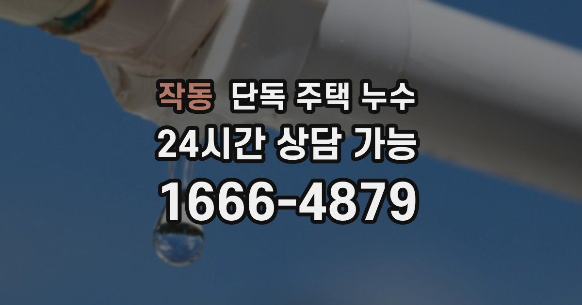 작동 단독 주택 누수