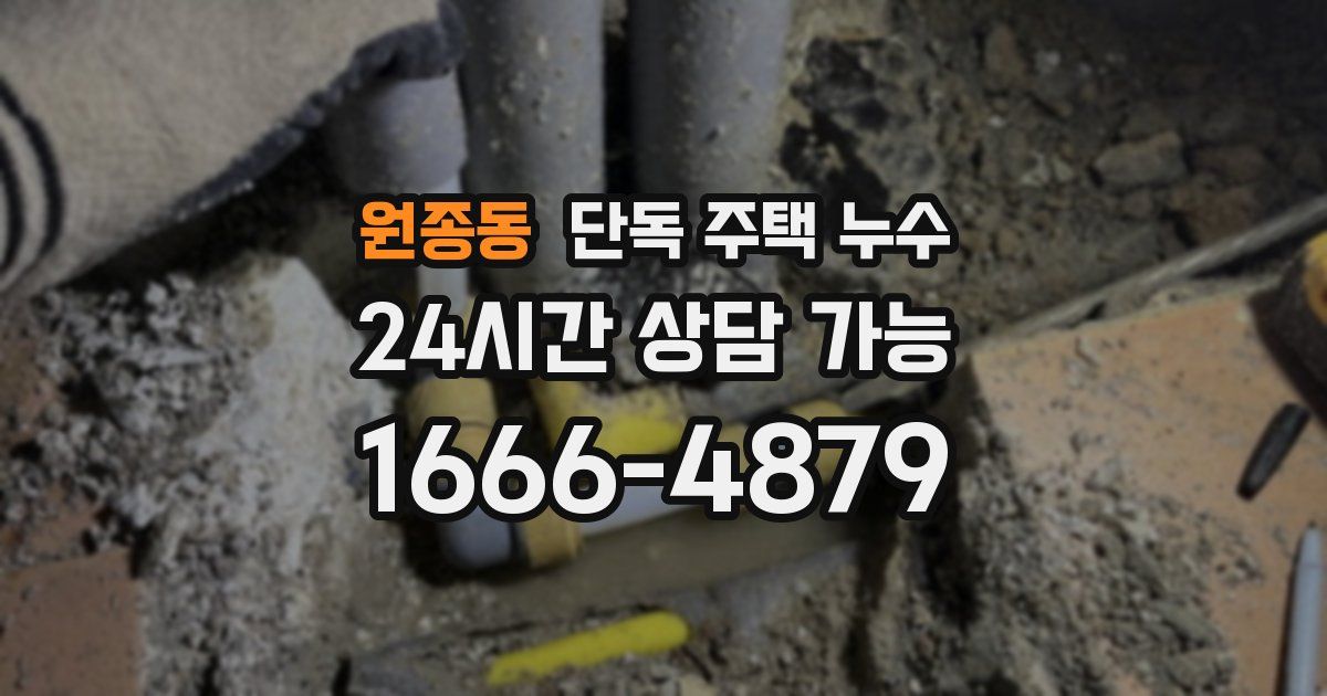 원종동 단독 주택 누수