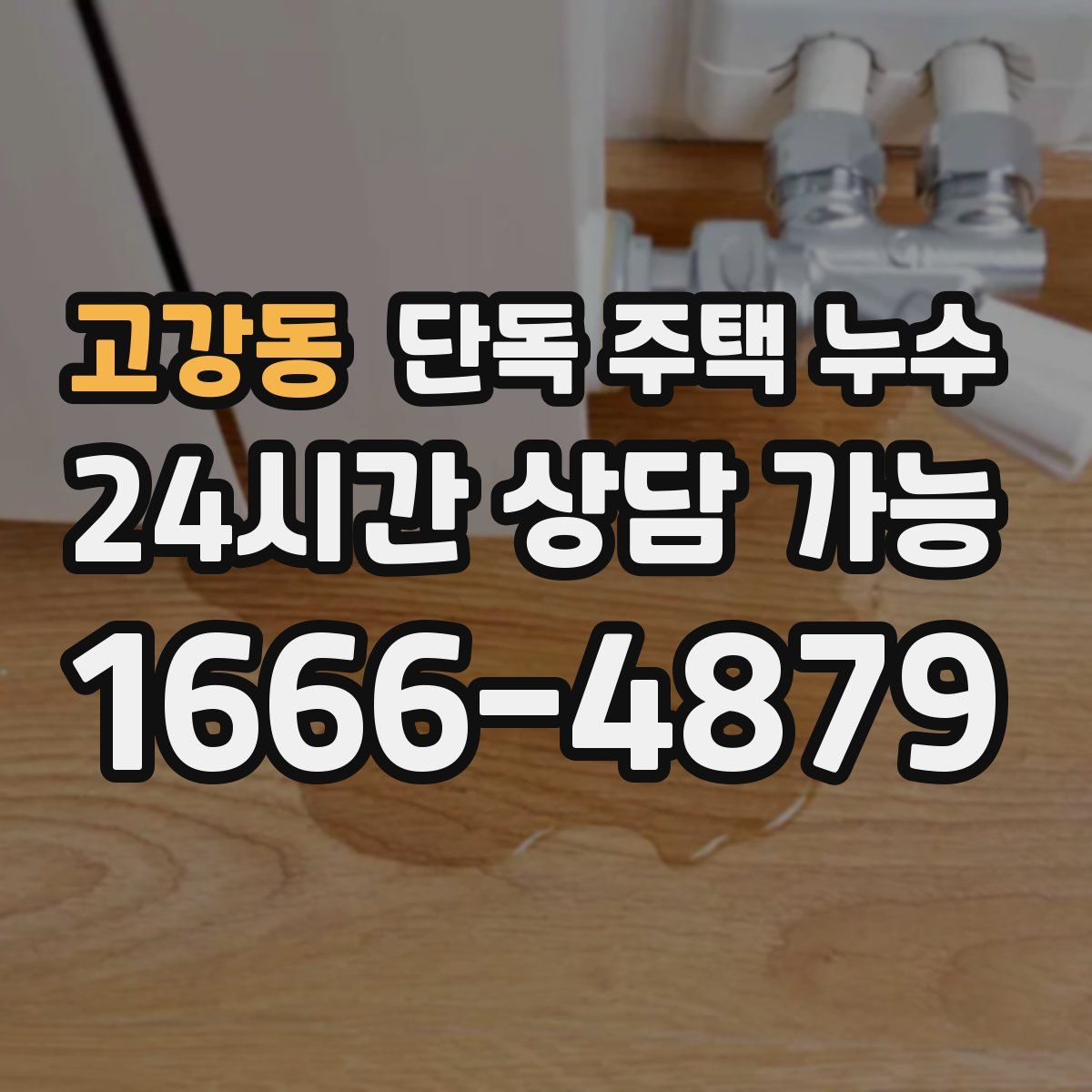 고강동 단독 주택 누수