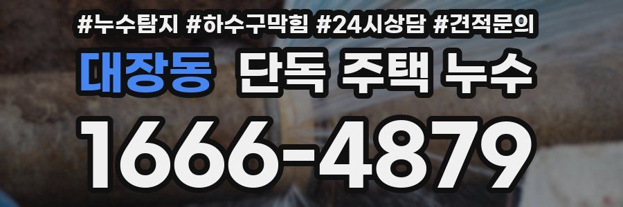 대장동 단독 주택 누수