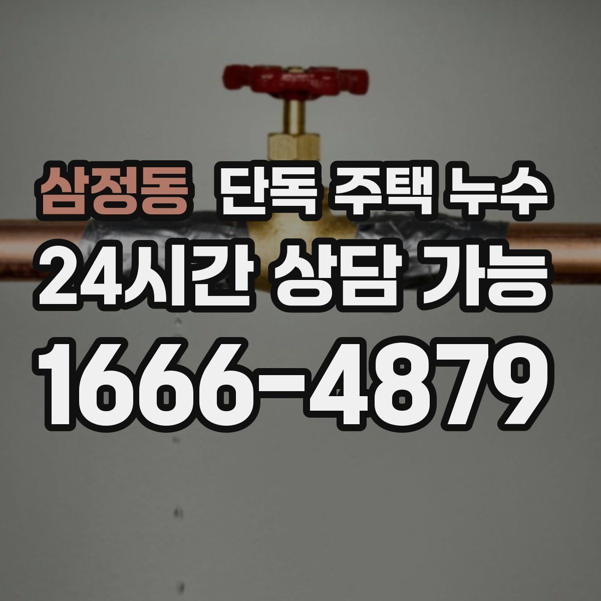 삼정동 단독 주택 누수