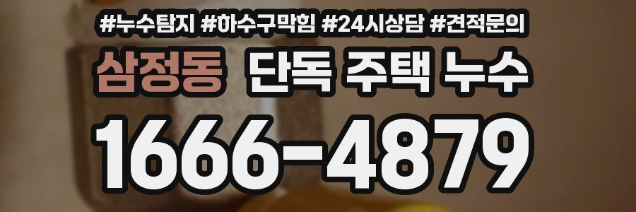 삼정동 단독 주택 누수