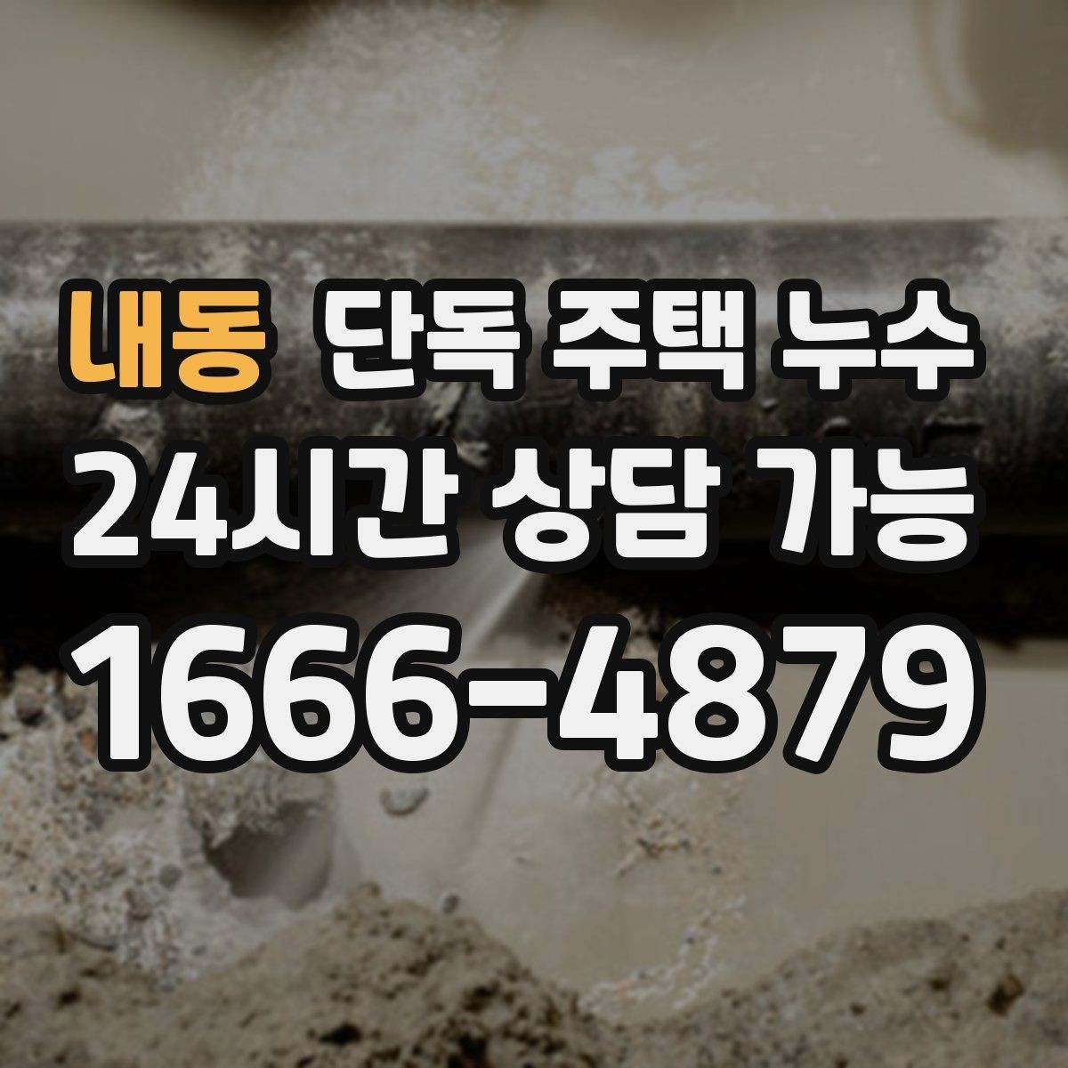 내동 단독 주택 누수 홈통 청소와 배수로 관리로 예방하는 방법
