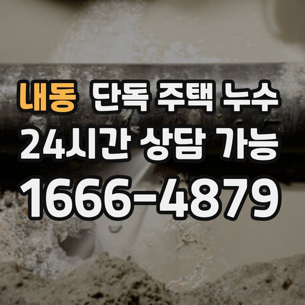 내동 단독 주택 누수