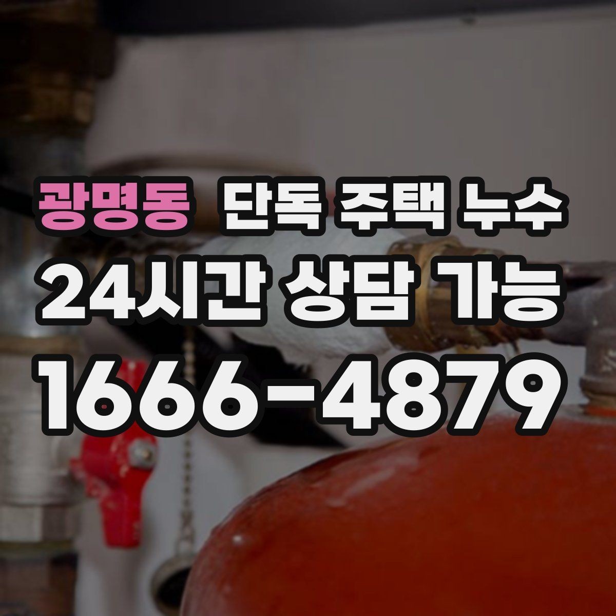 광명동 단독 주택 누수 외벽면 방에서 곰팡이가 심한 이유