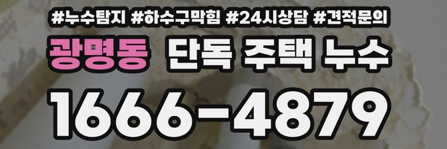 광명동 단독 주택 누수