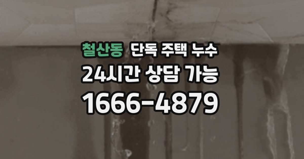 철산동 단독 주택 누수