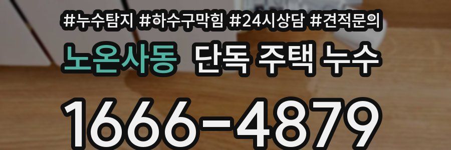 노온사동 단독 주택 누수