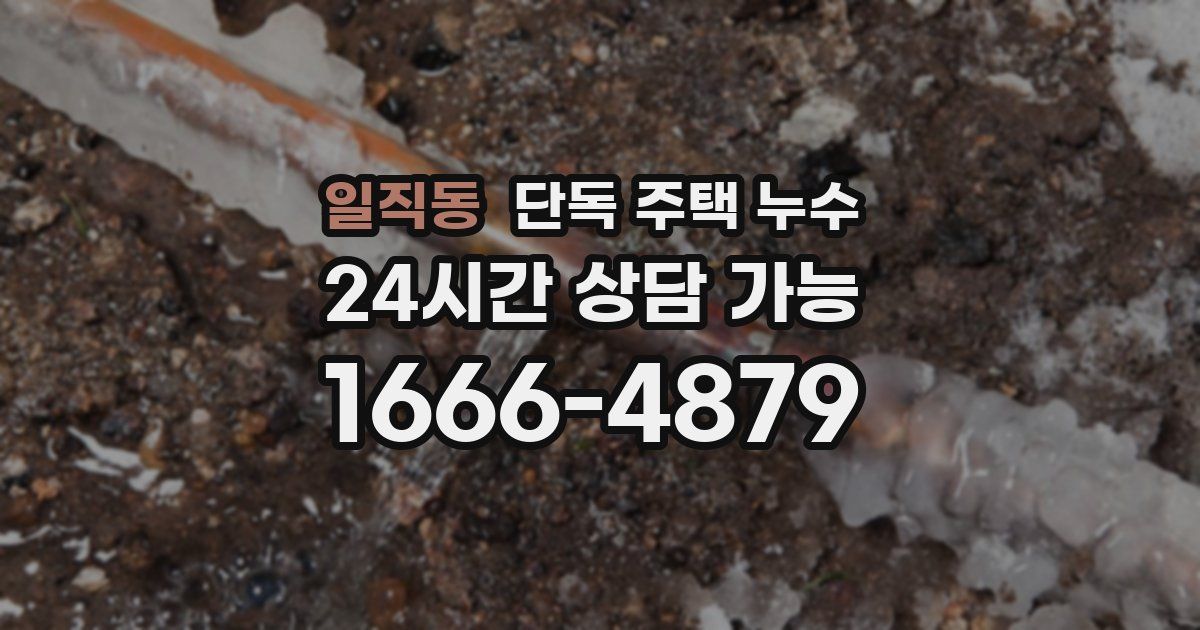 일직동 단독 주택 누수