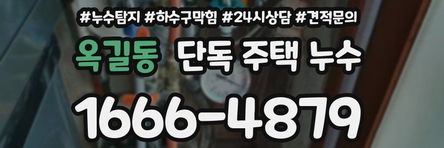 옥길동 단독 주택 누수