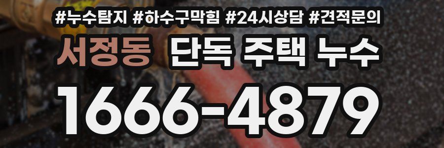 서정동 단독 주택 누수
