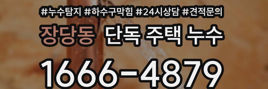 장당동 단독 주택 누수