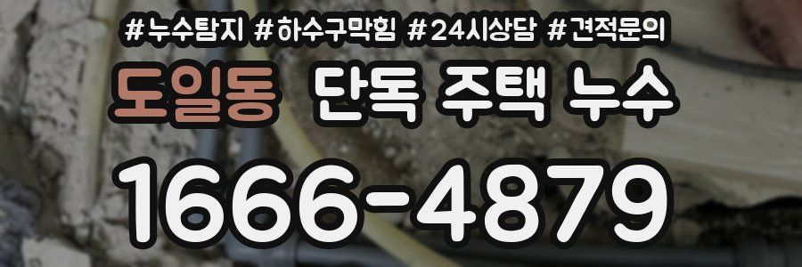도일동 단독 주택 누수