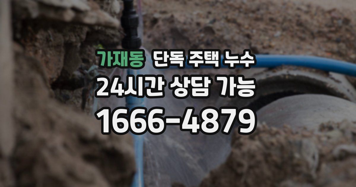 가재동 단독 주택 누수