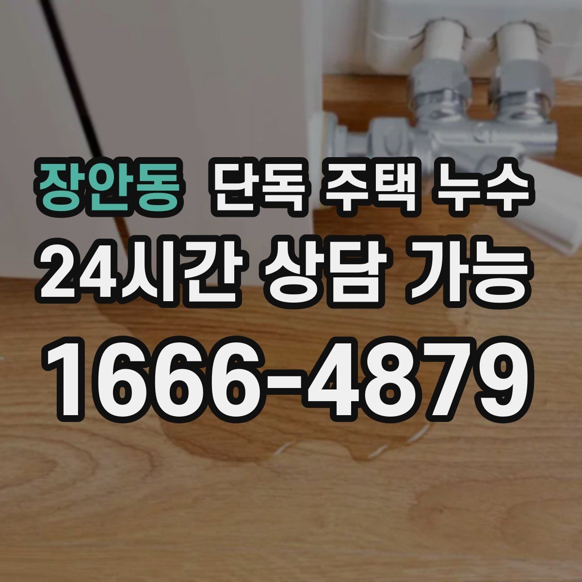 장안동 단독 주택 누수 우수관 연결부 틈새가 원인일 때
