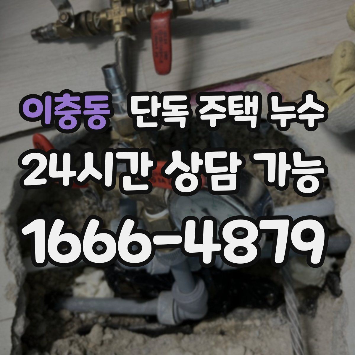 이충동 단독 주택 누수 욕실 바닥 타일 틈새에서 물이 스며들 때