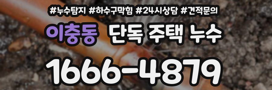 이충동 단독 주택 누수