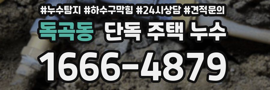 독곡동 단독 주택 누수