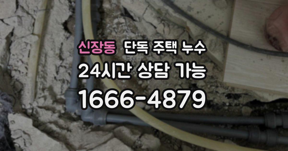 신장동 단독 주택 누수