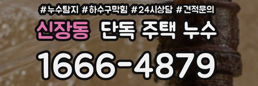 신장동 단독 주택 누수
