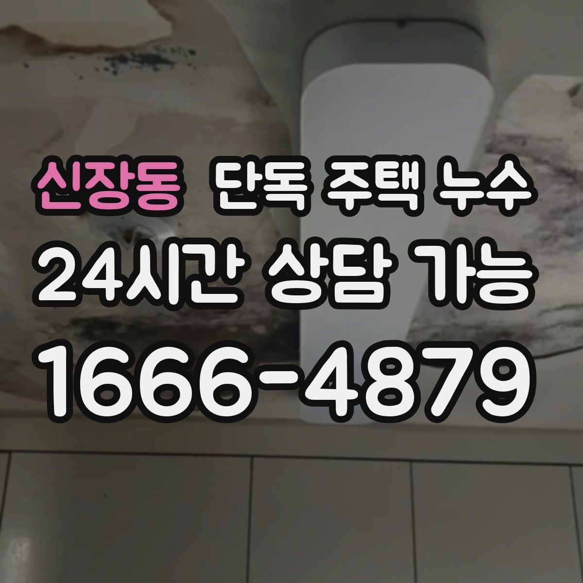 신장동 단독 주택 누수