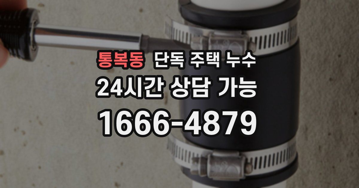 통복동 단독 주택 누수
