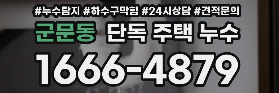 군문동 단독 주택 누수