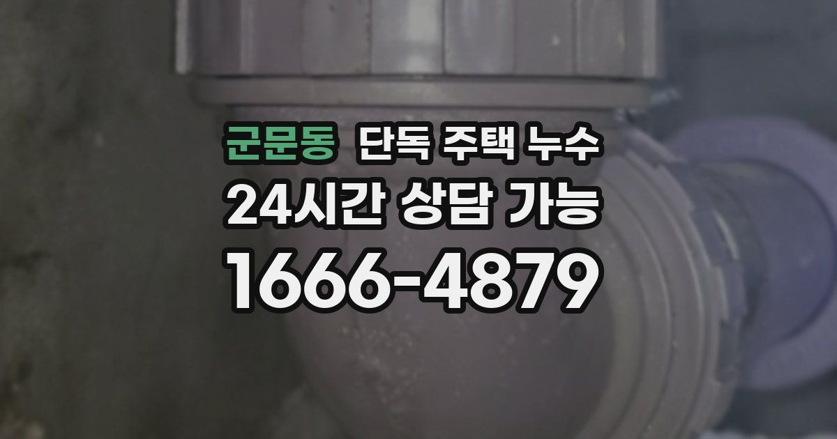군문동 단독 주택 누수
